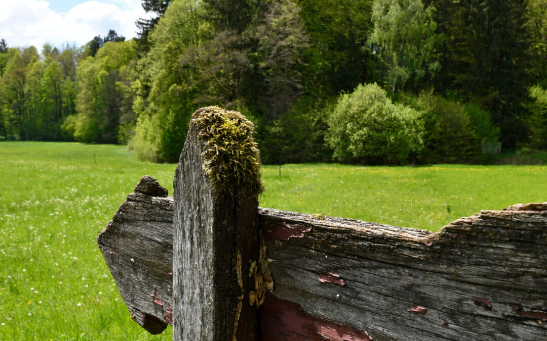 Wie der Kanton Graubünden die kreislauffähige Beschaffung fördert