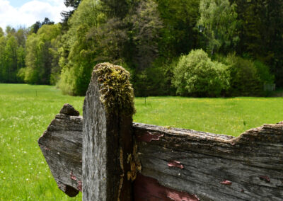 Wie der Kanton Graubünden die kreislauffähige Beschaffung fördert